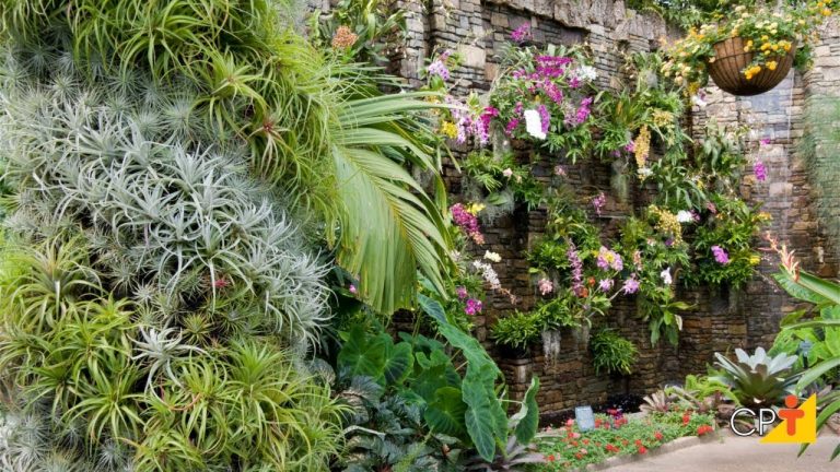 plantas para jardim