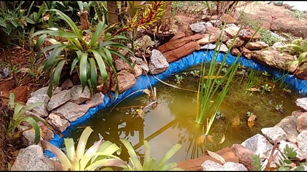 Lago artificial Como fazer? TC