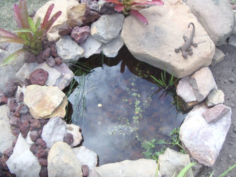 Lago artificial Como fazer? TC