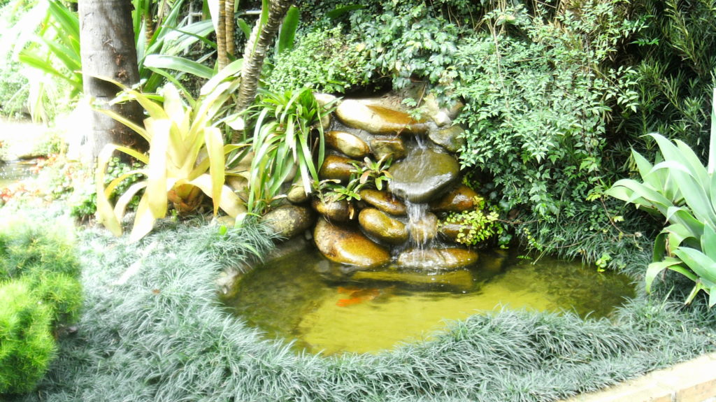 Lago artificial Como fazer? TC