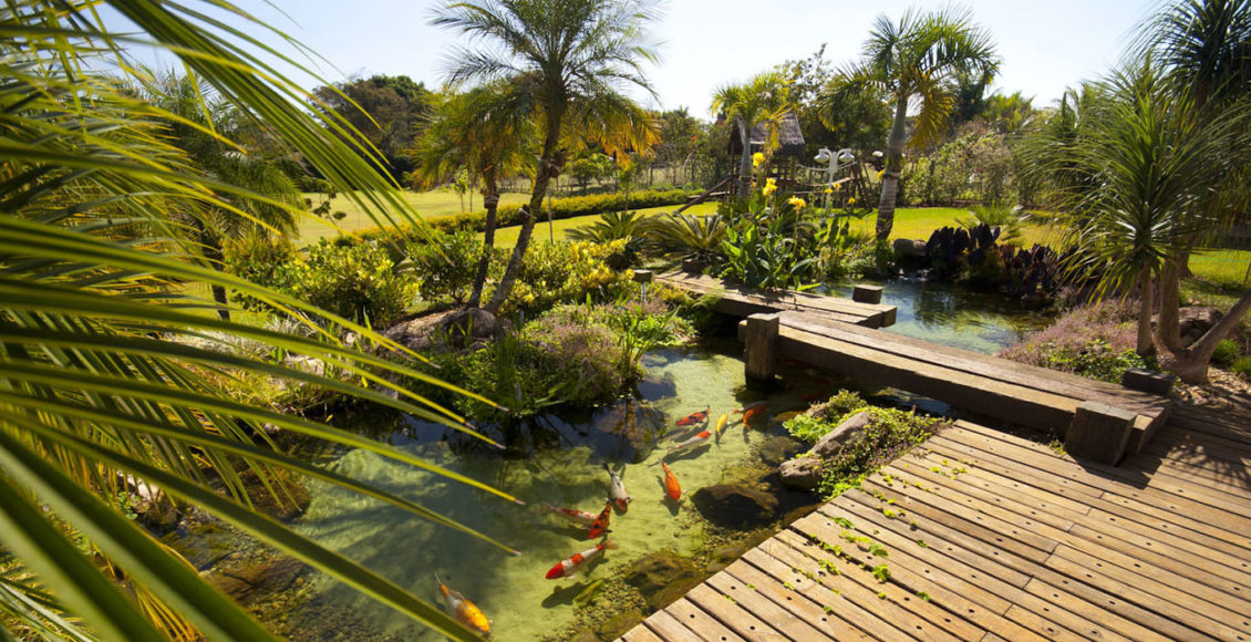 Lago artificial Como fazer? TC