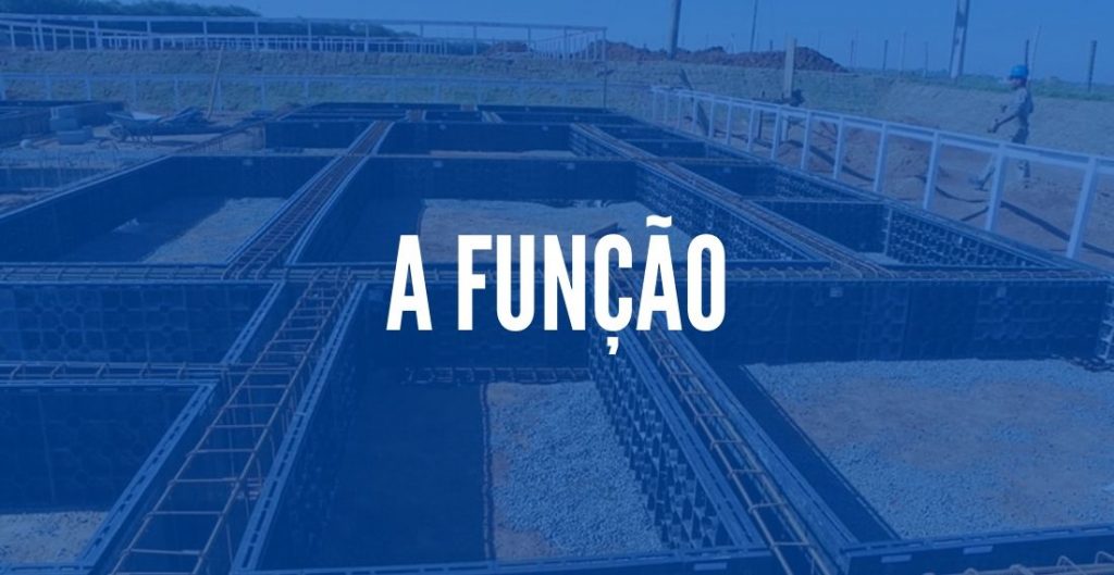 A FUNÇÃO