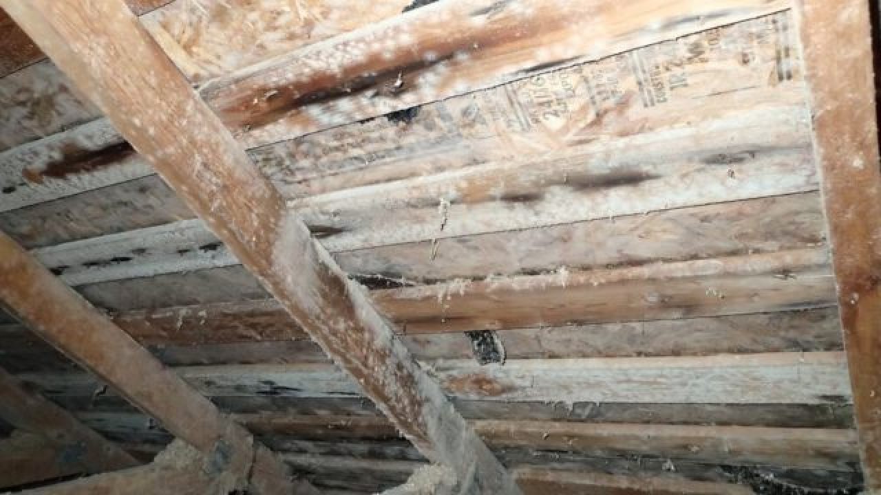 Stain para Madeira Para que serve? Como Usar? TC