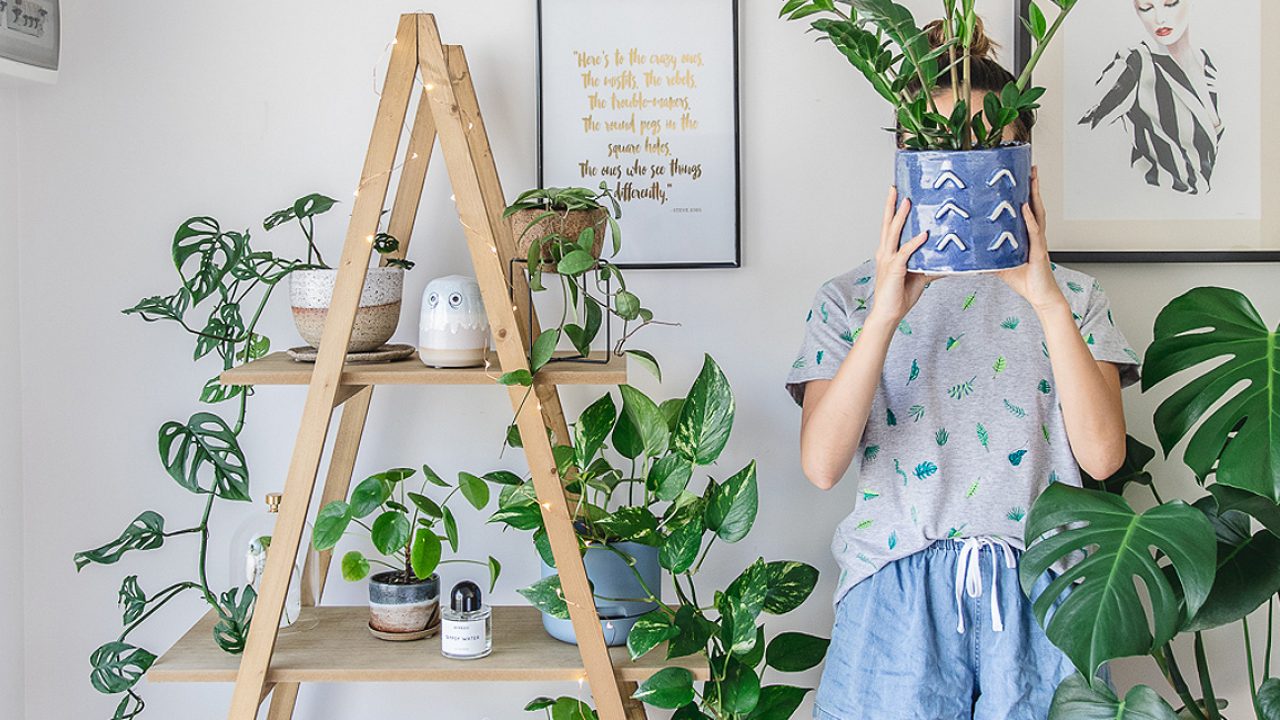 mulher segurando vaso de plantas para dentro de casa