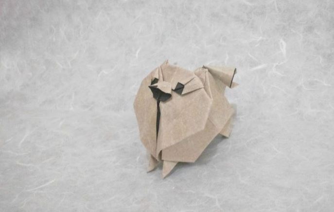 Origami lulu da pomeria