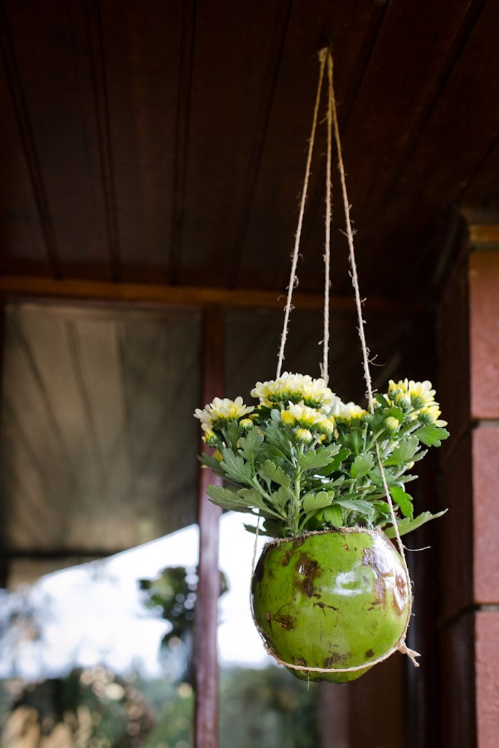 Vaso de planta feita de coco