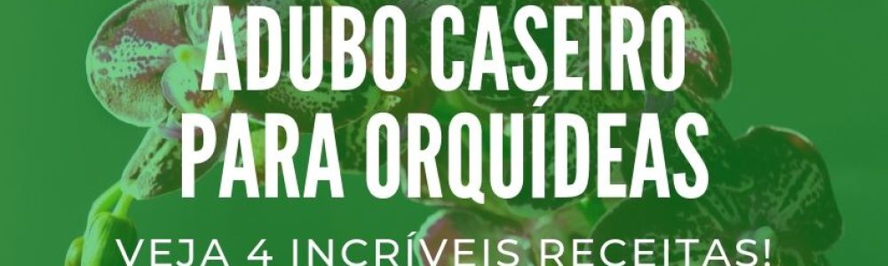 Adubo-caseiro-para-orquideas