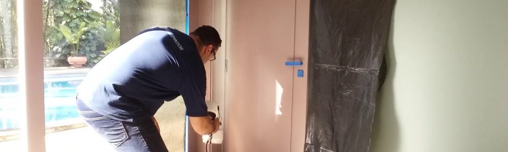 pintando uma porta de madeira