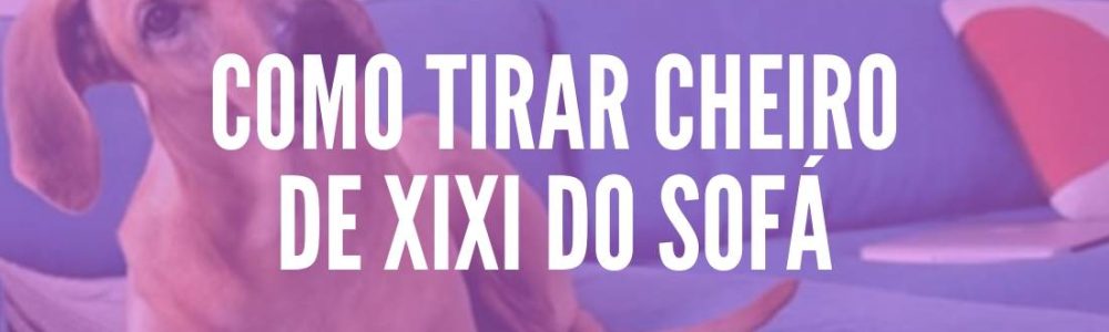 tirar-cheiro-de-xixi-01